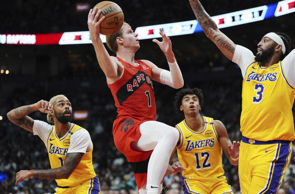 可以发现几 可以发现几